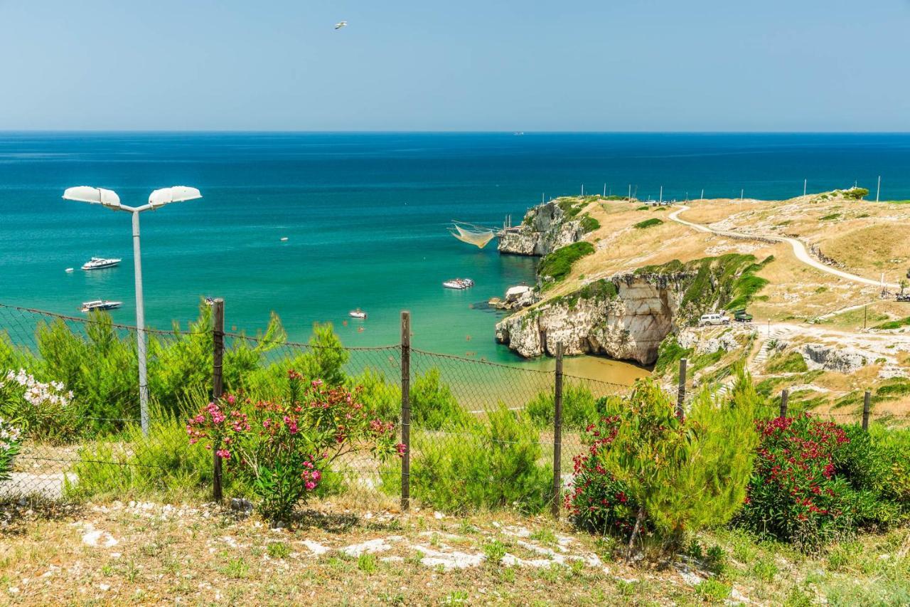 Appartamenti - Spiaggia Zaiana بيسْكيتْشّي المظهر الخارجي الصورة